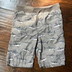 Gap sharks boy elastic waistband shorts size 12